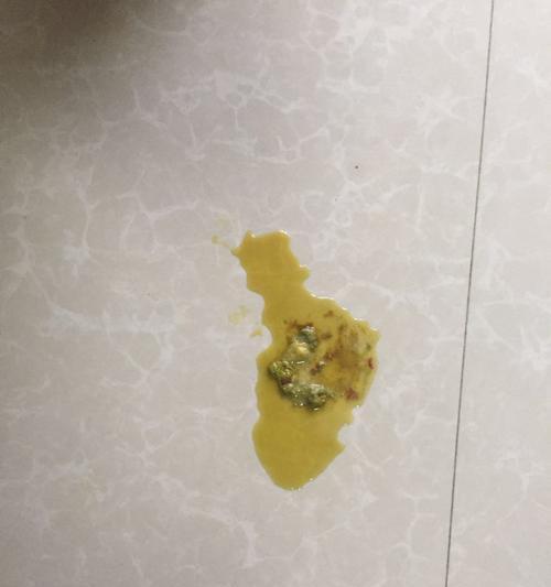 泰迪犬大便异常原因及健康护理指南