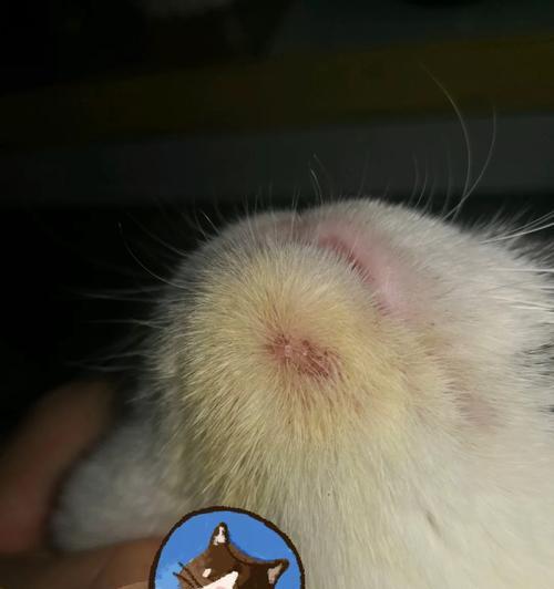 男性朋友生病用药指南：常见症状对应药物选择及注意事项