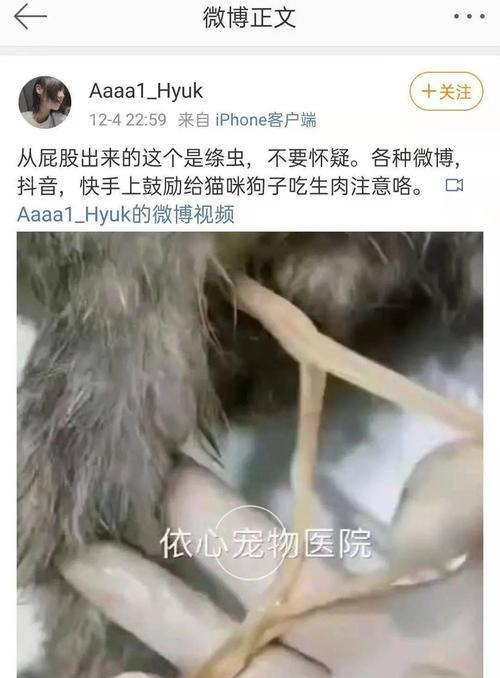 文章详情图片