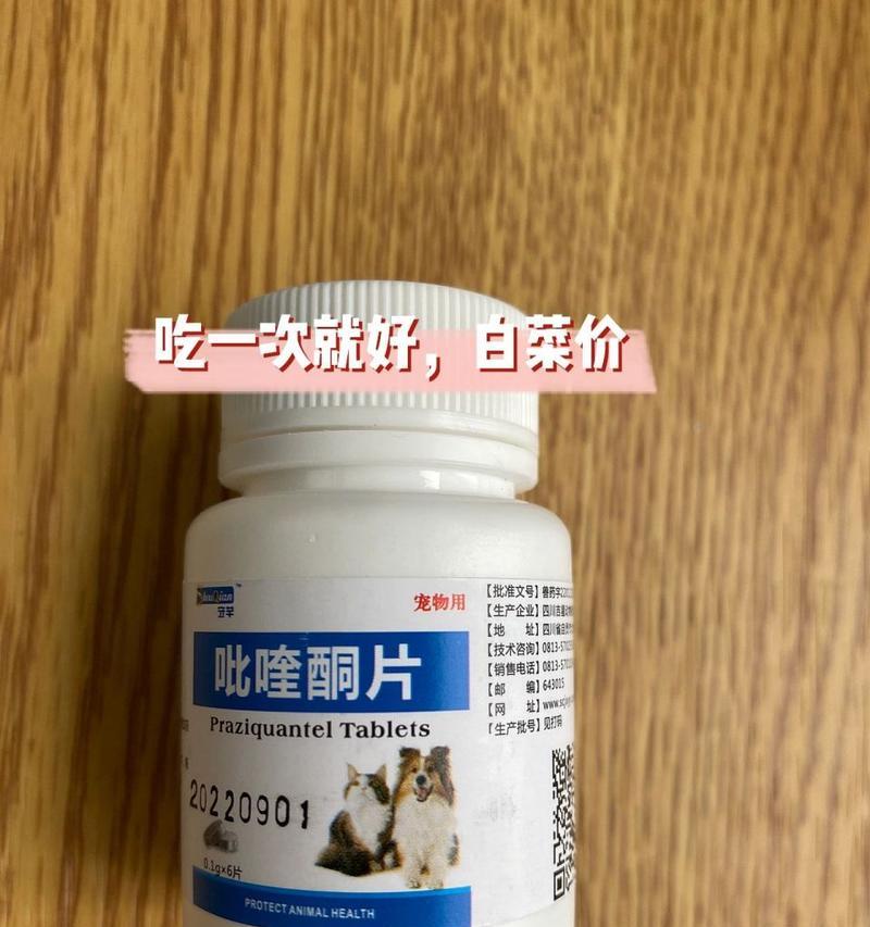 猫咪感染绦虫的原因预防及治疗方法详解