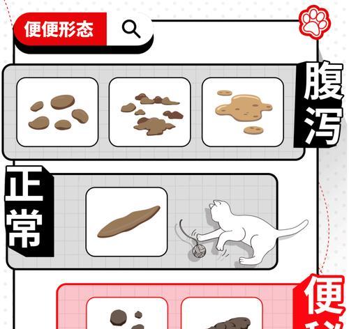 狗便秘的13大原因及有效解决方法，守护宠物肠道健康