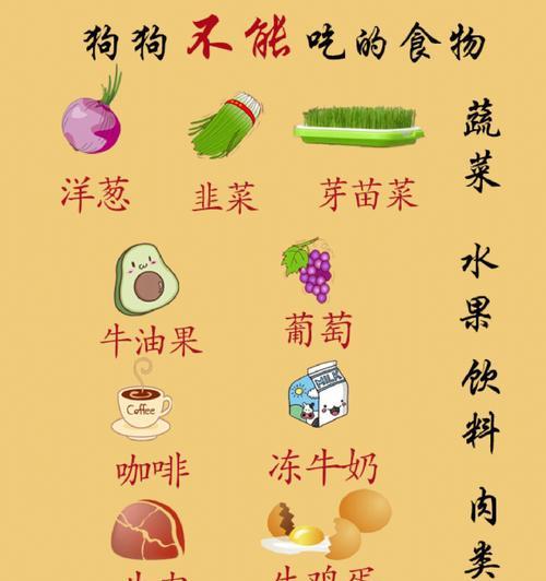 狗狗为什么不能吃盐？高盐摄入对宠物健康的十大危害