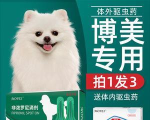 狗狗身体积水怎么治疗？有效药物与护理方法全攻略