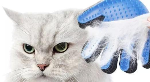 猫毛球成因预防处理全攻略，守护猫咪消化健康