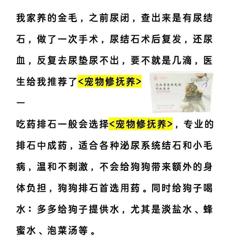 小狗尿血的病因分析与治疗方案详解
