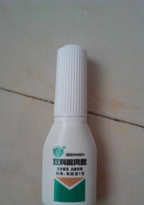 金毛上火症状识别与治疗方法全攻略