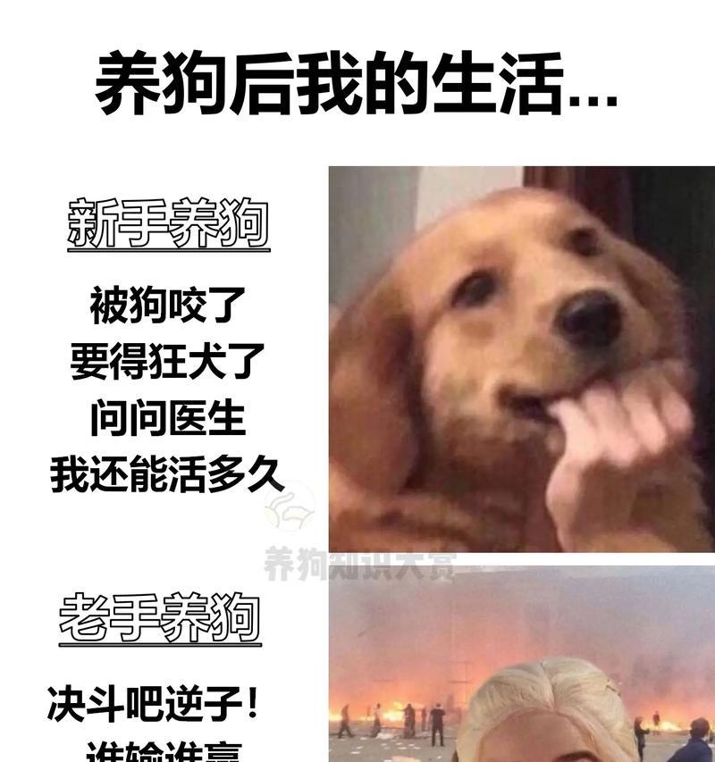 文章详情图片