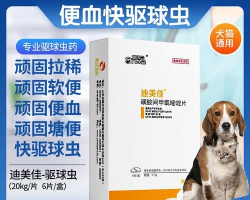 猫咪内驱虫完全指南：保护爱宠健康的必备措施