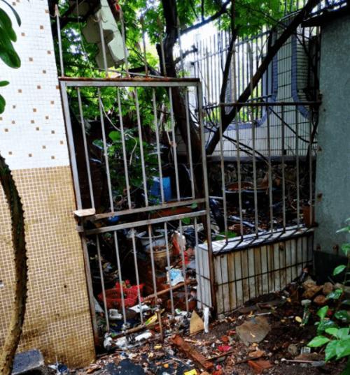 珠海狗市场全面解析：位置规模品种服务一网打尽