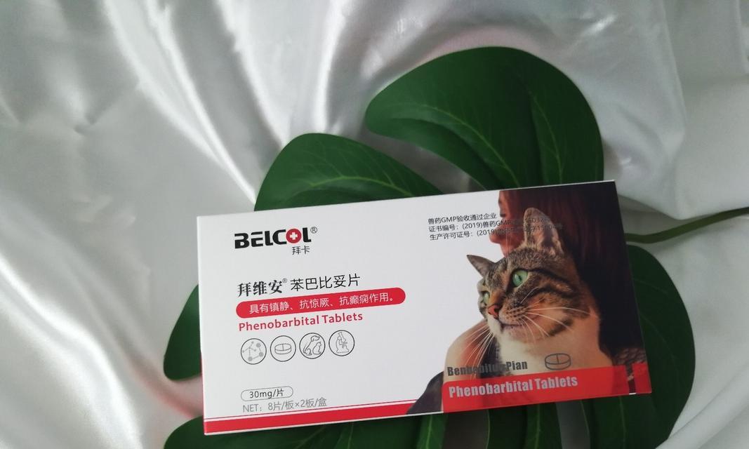 猫嗓子不适吃什么药好？缓解猫咪喉咙不适的药物推荐