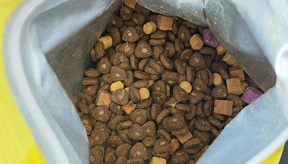 小狗狗粮为什么要泡软喂食？15个关键好处全面解析