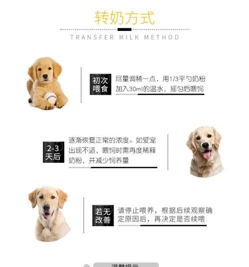 一月大幼犬奶粉选择指南：全面营养喂养方法详解