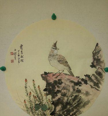 百灵鸟吃什么食物_主要饮食习性与营养需求全面解析