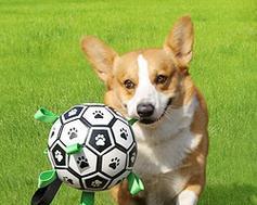 狗狗玩具的15大好处：提升宠物健康与快乐的必备用品