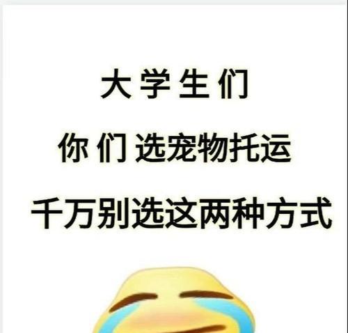 托运狗狗注意事项全攻略，保障宠物安全舒适出行