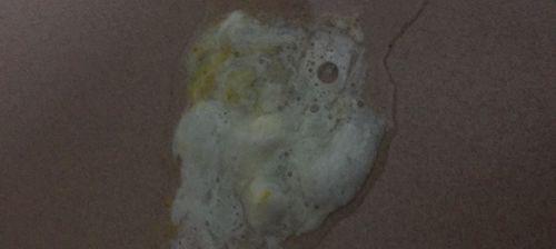 狗鼻子有白色鼻涕是什么原因？常见病因及护理方法详解