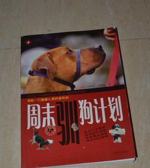 狗狗训练最佳时机与有效方法全攻略