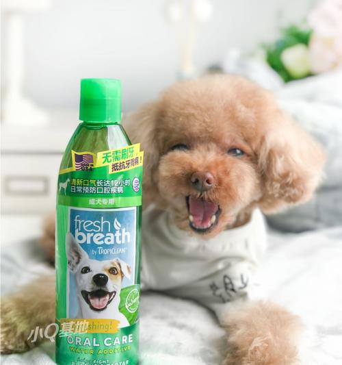 狗狗牙齿长不好怎么办？选对药物保护口腔健康