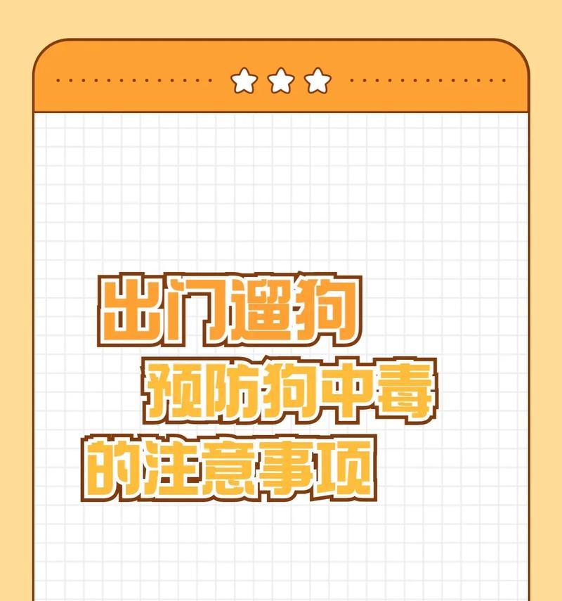 遛狗注意事项全攻略，保障宠物安全与环境卫生