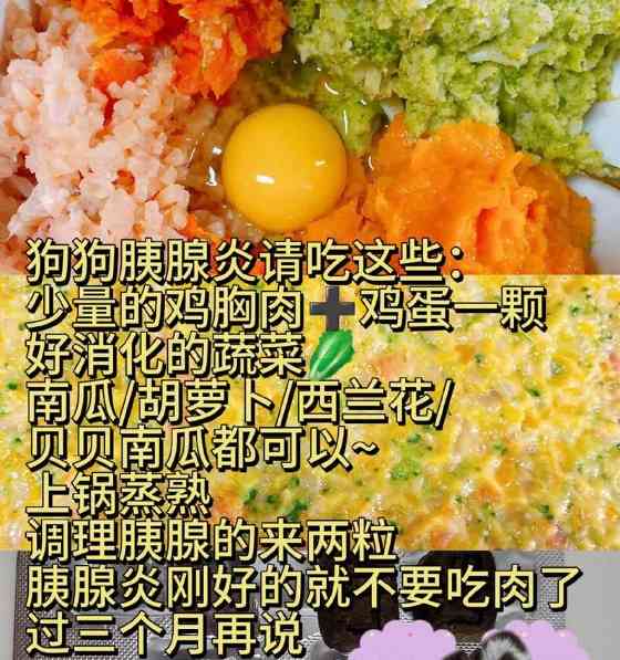 胰腺炎狗狗能吃什么水果？14种安全水果推荐及注意事项