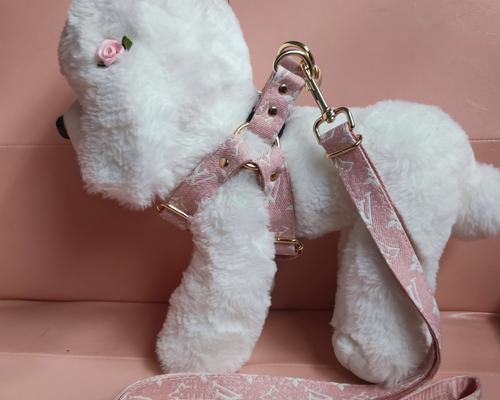 金毛犬牵引绳正确使用方法与安全注意事项