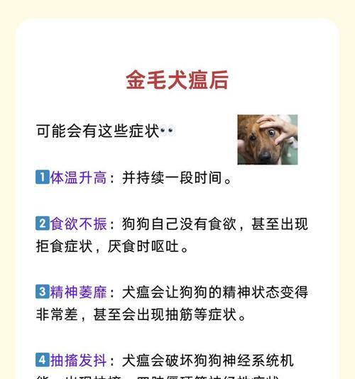 狗狗犬瘟晚期症状全解析：15大症状识别与护理指南