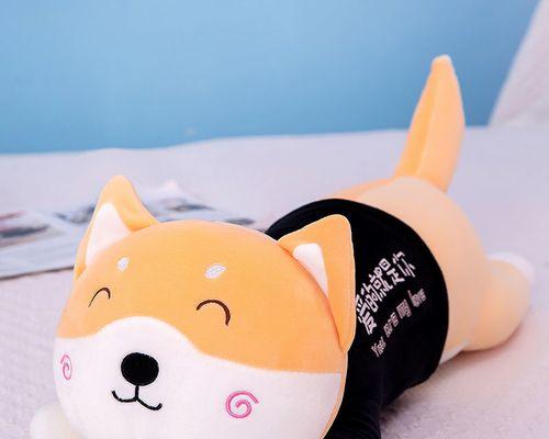 公柴犬喜欢什么玩具？15种玩具类型及选择指南