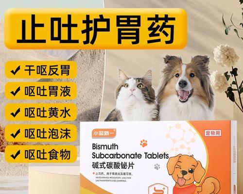 小狗呕吐拉肚子如何正确选择药物治疗