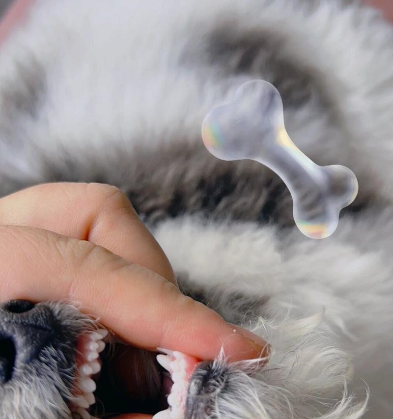 狗牙齿上长硬块是什么原因？牙结石形成机制及预防方法