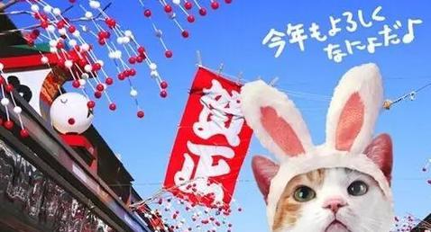 日本猫咪取名大全：15种文化风格的宠物命名艺术