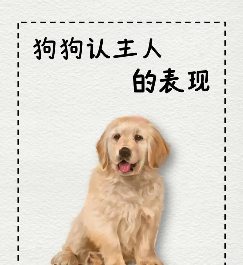 小狗为什么摇尾巴？揭秘狗狗情感表达的真正含义