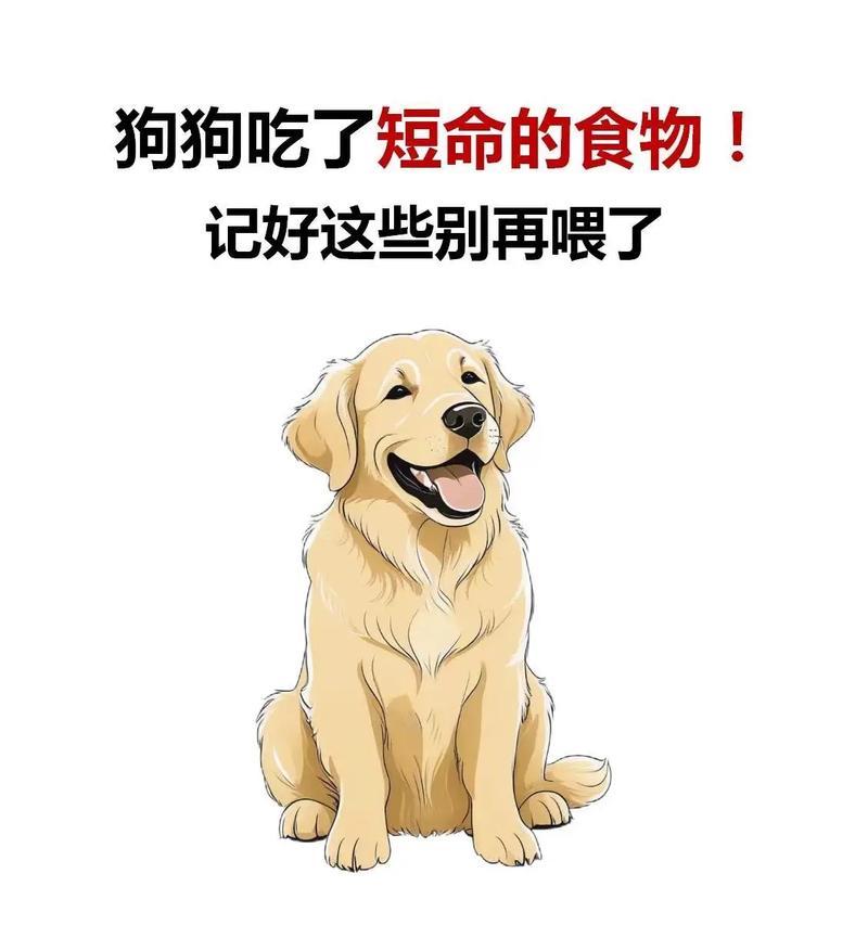 狗狗严重贫血的15大原因及防治方法全解析