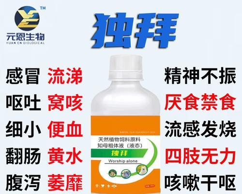 狗狗咳嗽又吐怎么办？正确用药与护理指南