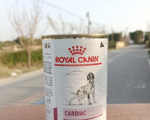 泰迪处方粮能吃多久？用量计算与营养效果全面解析