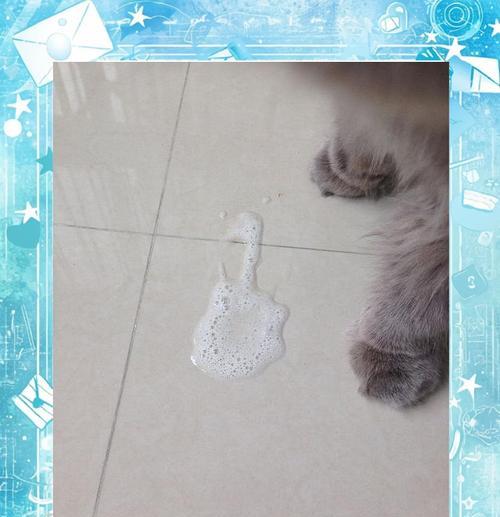 猫咪吐出没消化猫粮的原因分析及改善方法