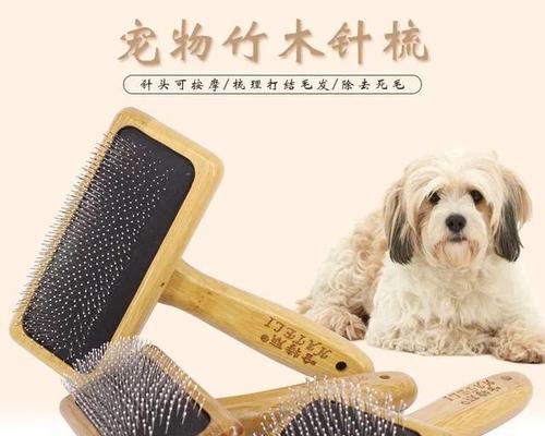 宠物梳子功能全解析：选择合适梳子护理想方