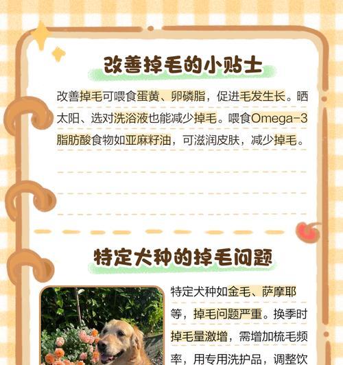 狗狗脱毛周期全解析：四季脱毛规律与科学护理方法