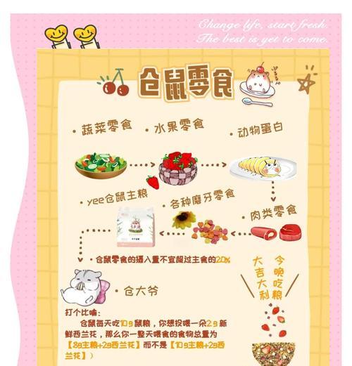 仓鼠饮食指南：科学喂养方法与营养搭配全攻略