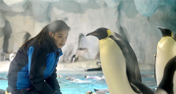 帝企鹅眼睛为什么那么黑？黑色素的神奇保护机制揭秘