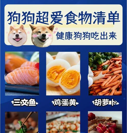 狗狗不能吃什么食物盘点，14种常见毒物危害需警惕