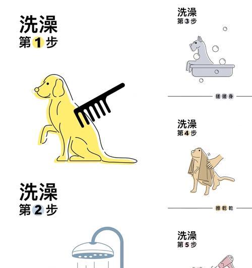 如何准确辨别小狗性别？13个简单实用的鉴别技巧