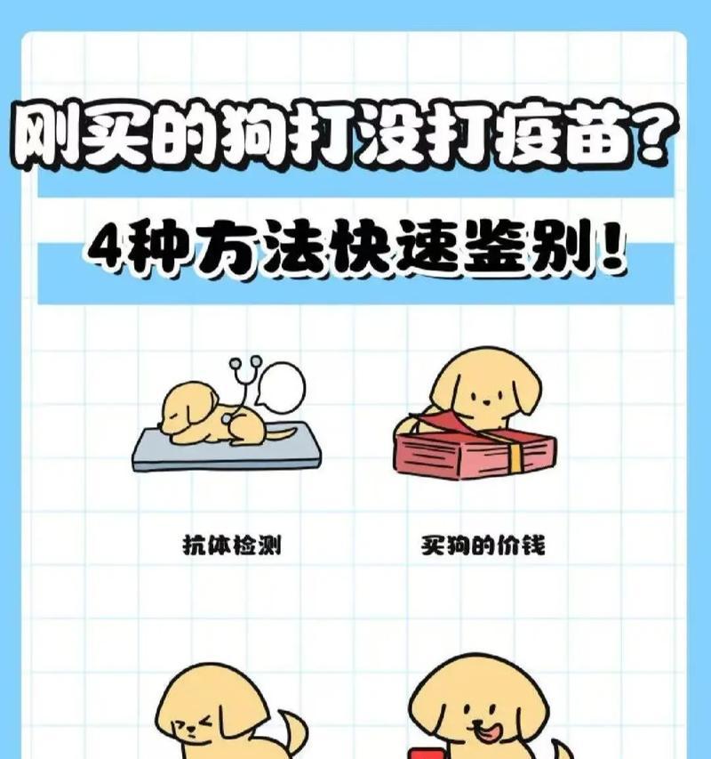 狗狗疫苗接种时间表详解：新宠健康防护全攻略