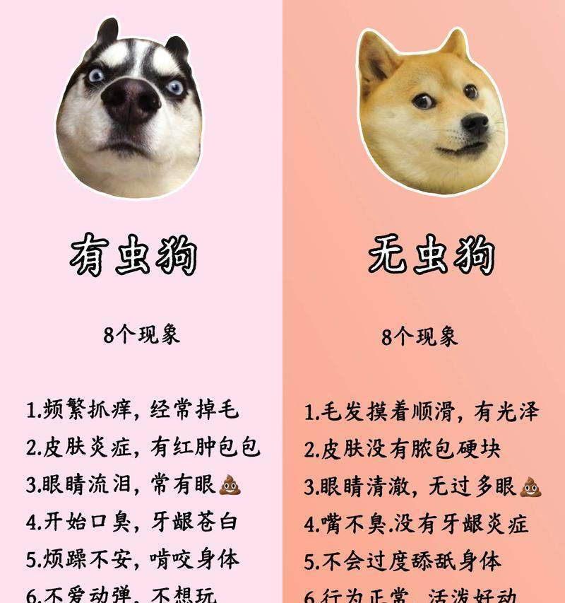 四个月大狗狗驱虫频率指南：每月一次保健康