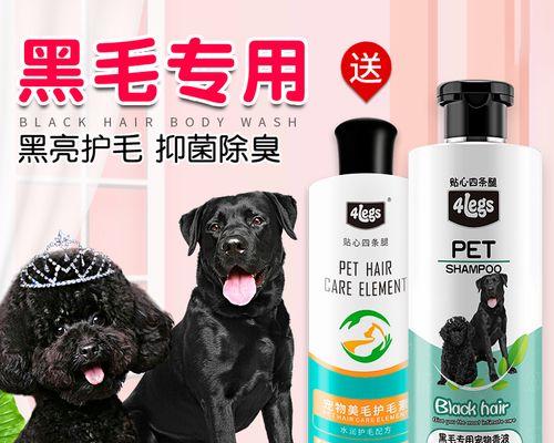 贵宾犬洗澡全攻略：频率方法与护理要点详解