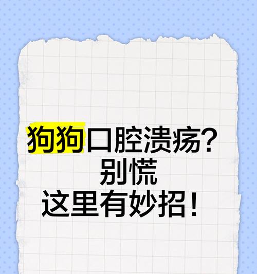 狗狗口腔溃疡症状识别与有效治疗方法全攻略