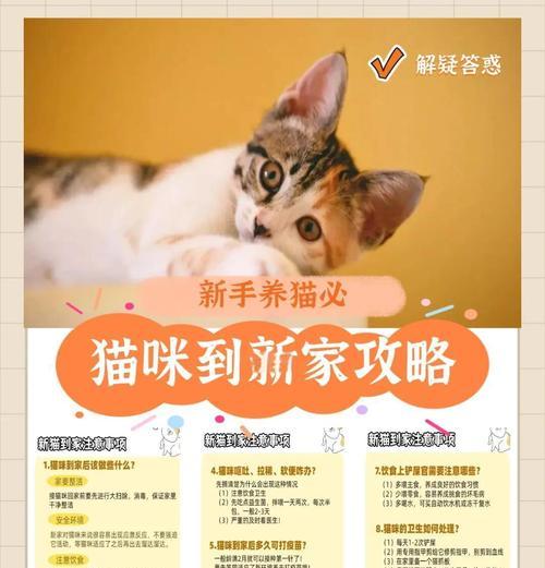 猫咪适应新家完全指南：从陌生到熟悉的心理过渡