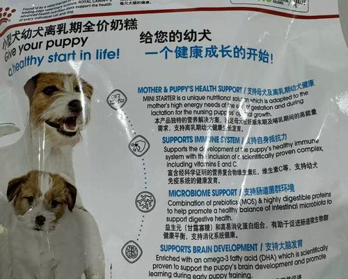 泰迪幼犬断奶期喂养指南：科学断奶方法与注意事项