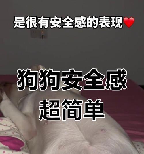 文章详情图片