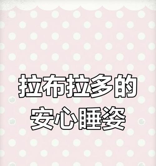 拉布拉多睡眠需求全攻略：成年犬幼犬睡眠时间及护理要点