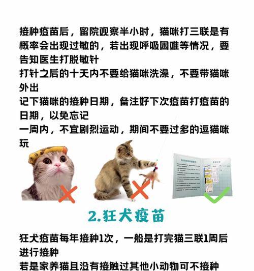 猫咪打完疫苗后多久能洗澡，接种疫苗与洗澡时间间隔指南